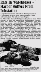 Artikel